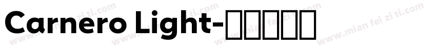 Carnero Light字体转换